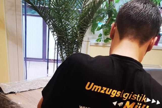 Laborumzug Taucha stressfrei umziehen 